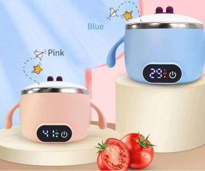 Bol en Acier Inoxydable à Température Constante